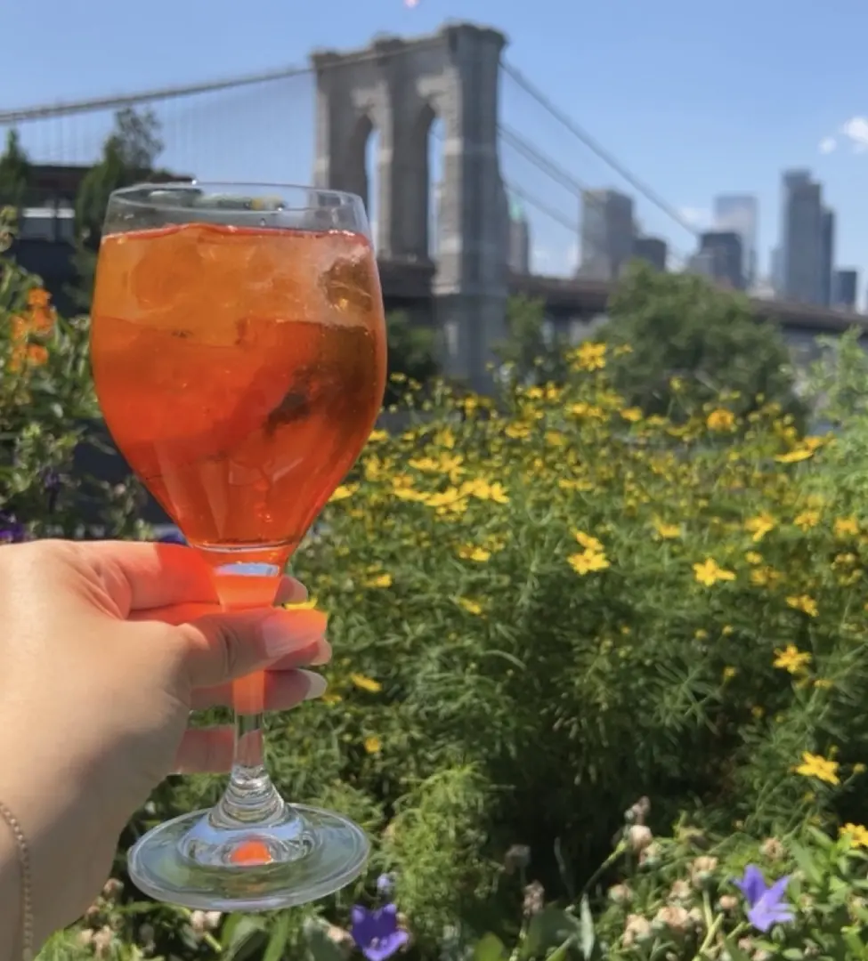 A person holding up a glass of wine in front of the brooklyn bridge.